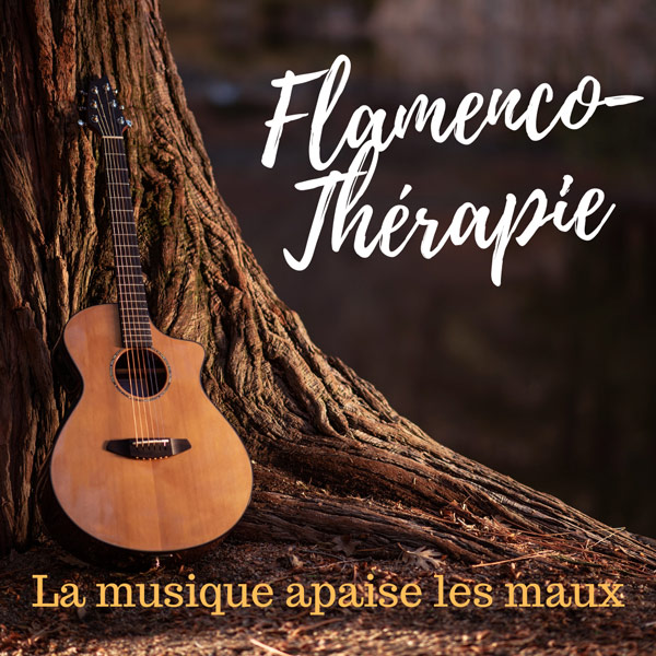 Flamenco Toulouse Elias Ruiz